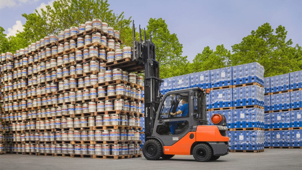 Mehrfach-Palettengabel